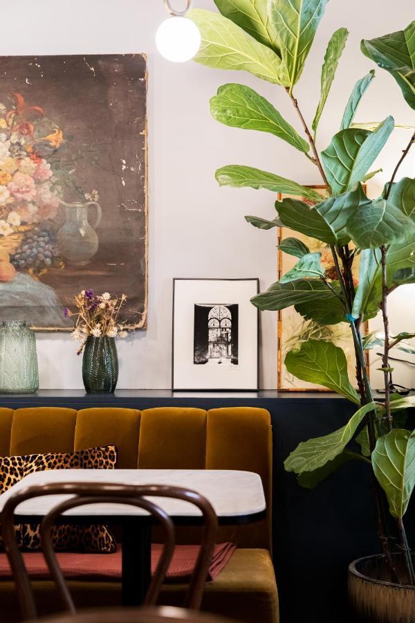 Leopold - Orso Paris